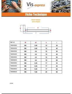 Gond Métaux M6X60 Acier zingué - 1 pièce^Vis Express New