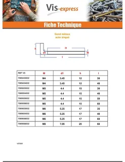 Gond Métaux M5X50 Acier zingué - 10 pièces^Vis Express