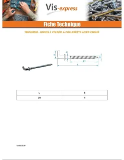 Gonds à Vis bois à Collerette 4X35 Acier zingué - 10 pièces^Vis Express Sale