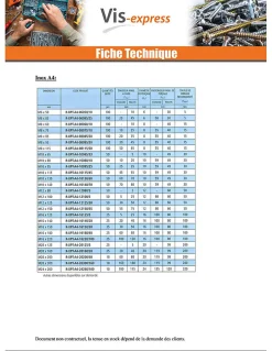 Goujon Ancrage R-XPT M6X85 Acier zingué - 30 pièces-Vis Express Best