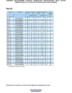 Goujon Ancrage R-XPT M6X100 Acier zingué - 30 pièces-Vis Express New