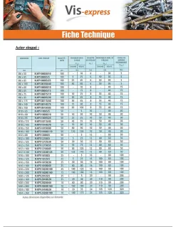 Goujon Ancrage R-XPT M6X85 Acier zingué - 1 pièce^Vis Express Clearance