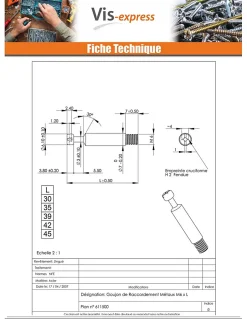 Goujon RACCORDEMENT Métaux 6X35 Acier zingué - 200 pièces-Vis Express