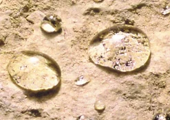 ImperGuard Ultra Protection Sol Mat Imperméabilisant Effet Mat Sol Poreux Pierre Béton Dalle PavéIncolore 5L Traite 50m²^Guard Industrie New