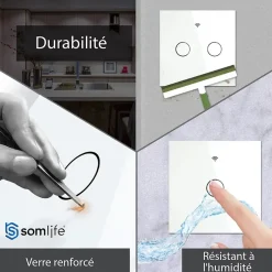 Interrupteur connecté tactile double application tuya smart life Compatible avec Alexa/Google Home^Somlife New