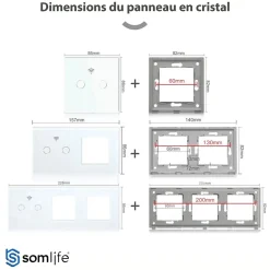 Interrupteur connecté tactile double application tuya smart life Compatible avec Alexa/Google Home^Somlife New