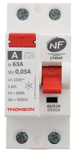 Interrupteur différentiel 63A type A NF-Thomson Hot