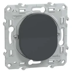 Interrupteur poussoir 10A Ovalis anthracite-Schneider Electric Online