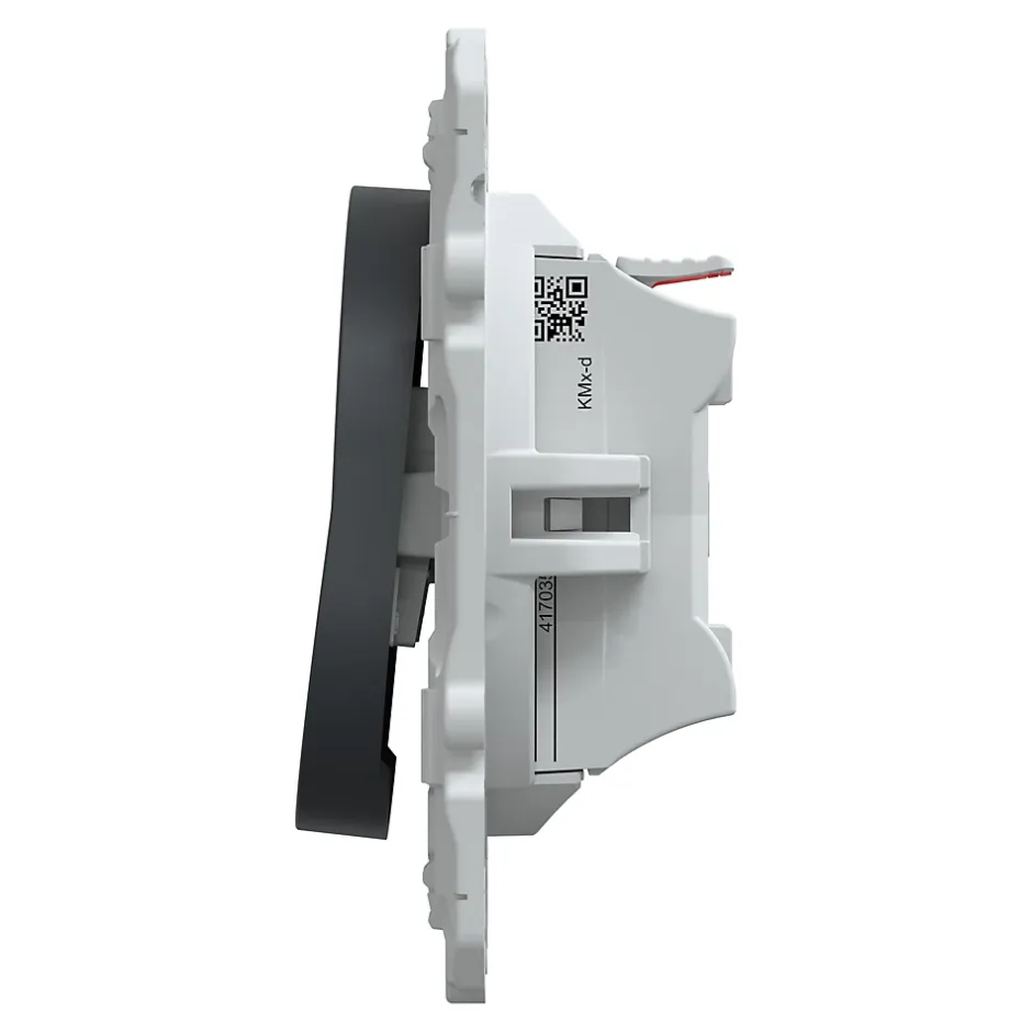 Interrupteur poussoir 10A Ovalis anthracite-Schneider Electric Online