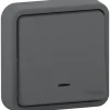 Interrupteur poussoir lumineux étanche complet encastré Mureva Styl anthracite-Schneider Electric Clearance