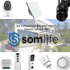 Interrupteurs intelligent WiFi 16A MiniSmart Switch Wi-Fi connecté,application Tuya/SmartLife,Alexa,Google Home^Somlife