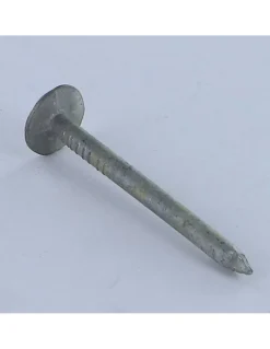 Kg de pointes ARDOISE Tête extra large TEL 2.7X30 Diamètre de tête: 11 Forte tenue à la corrosion Acier galvanisé - 1 pièce-Vis Express Outlet