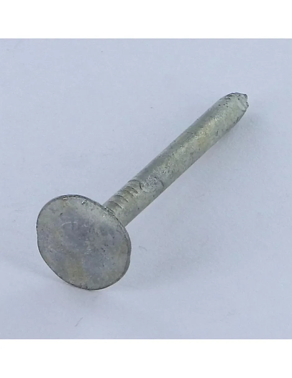 Kg de pointes ARDOISE Tête extra large TEL 3X40 Diamètre de tête: 12 Forte tenue à la corrosion Acier galvanisé - 1 pièce-Vis Express Hot