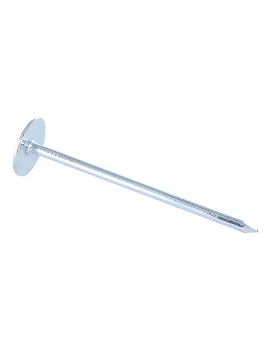 Kg de pointes Embase collerette ronde Diamètre de tête: 20 Acier zingué 3.1X50 - 5 pièces-Vis Express Discount