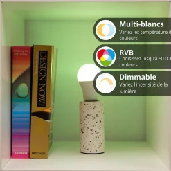 - Pack de 2 Ampoules LED connectées A60, culot E27, RVB avec télécommande connectée - KPACK2EE806GRVBCCT-Kozii Hot