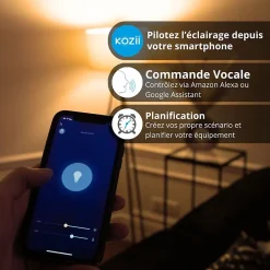 - Pack de 2 Ampoules LED connectées A60, culot E27, RVB avec télécommande connectée - KPACK2EE806GRVBCCT-Kozii Hot