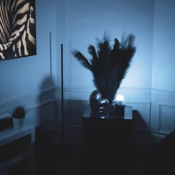 - Pack de 2 Ampoules LED connectées A60, culot E27, RVB avec télécommande connectée - KPACK2EE806GRVBCCT-Kozii Hot