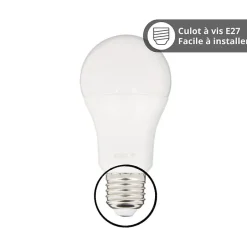 - Pack de 2 Ampoules LED connectées A60, culot E27, CCT avec prise connectée - KPACK2EE806GCCTPR^Kozii Sale