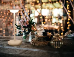 Lampe de table à accu PASI intérieur extérieur métal plastique beige intensité variable tactile fonction mémoire hauteur 26cm^Näve Best