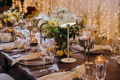 Lampe de table LED à accu magnétique pour l'extérieur et l'intérieur, en métal et plastique en givre , hauteur 36 cm-Näve Hot