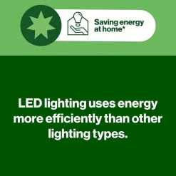 Lampe d'inspection rechargeable R6-4^Diall Best