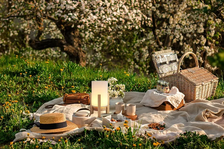 Lampe table accu MADITA H 25cm blanc naturel LED intégrée intensité variable capteur tactile-Näve