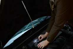 Lampe torche LED télescopique magnétique 10 lumens-Diall Online