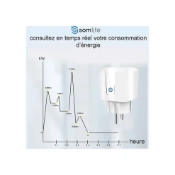 Lot 2 prises connectées application tuya smart life controle de consomation Compatible avec Alexa/Google Home-Somlife Clearance