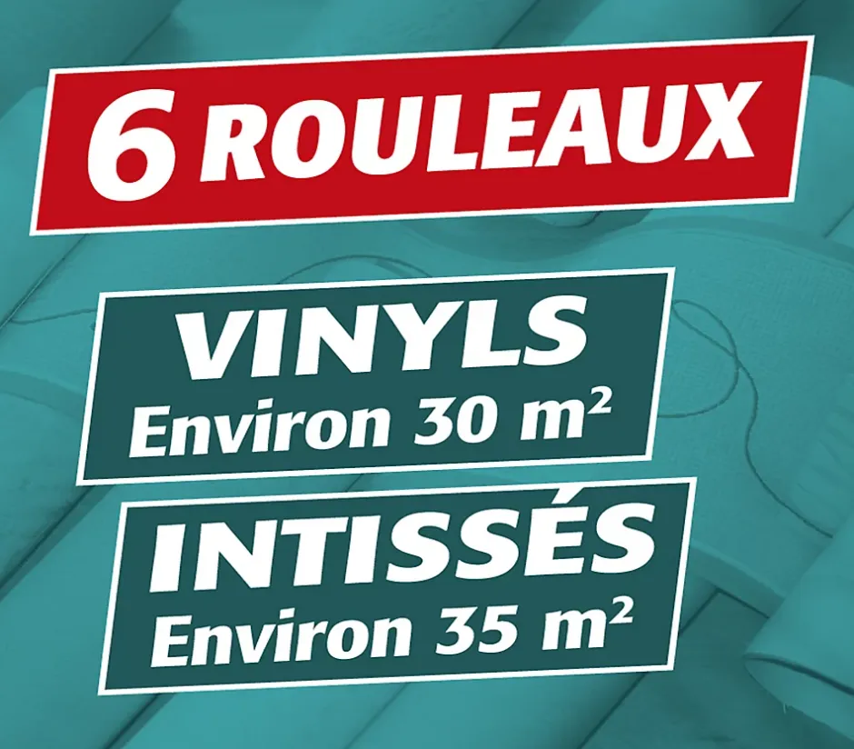 Lot de 2 Colle en Poudre pour Papiers Peints Vinyls et Intissés , Boite de 300 g-Semin New