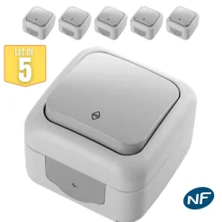 Lot de 5 va et vient étanche IP54 - - Gris - NF^Viko By Panasonic