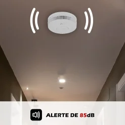 Lot de 2x Détecteur de fumée CE Pile 10 ans scellée connecté Wifi-Kyf