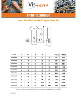Manille Droite Forgée Inox A4 Diamètre 10 - 2 pièces-Vis Express Clearance