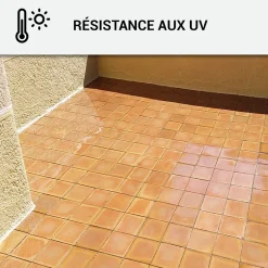 Mastic Colle MS Polymère, étanchéité des sols et murs : ARCAMASTIC POLYMÈRE Transparent - 290 ml x 1 -^Arcane Industries Outlet