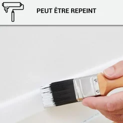 Mastic Colle MS Polymère, étanchéité des sols et murs : ARCAMASTIC POLYMÈRE Transparent - 290 ml x 1 -^Arcane Industries Outlet