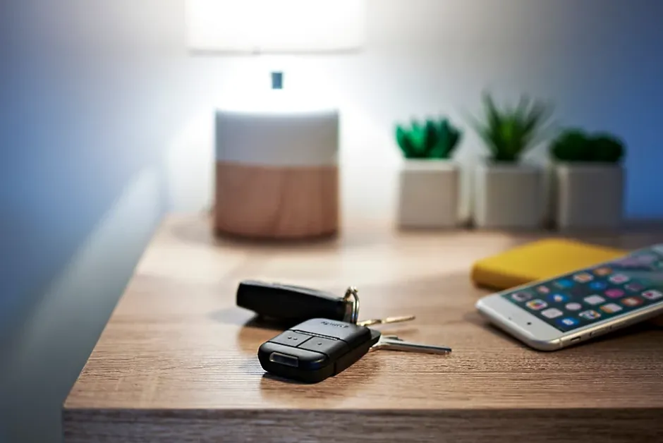 Motorisation de portail coulissant SlidyMoove 300^Somfy Outlet