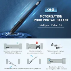 Motorisation Portail Battant 220V/24V Double Bras pour 1 Vantail Jusqu'à 300KG 5,5M avec 2 Télécommandes Moteur DC^Nature Pro Online