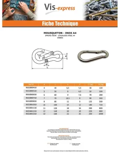 Mousqueton Inox A4 Diamètre 6 - 5 pièces-Vis Express Clearance