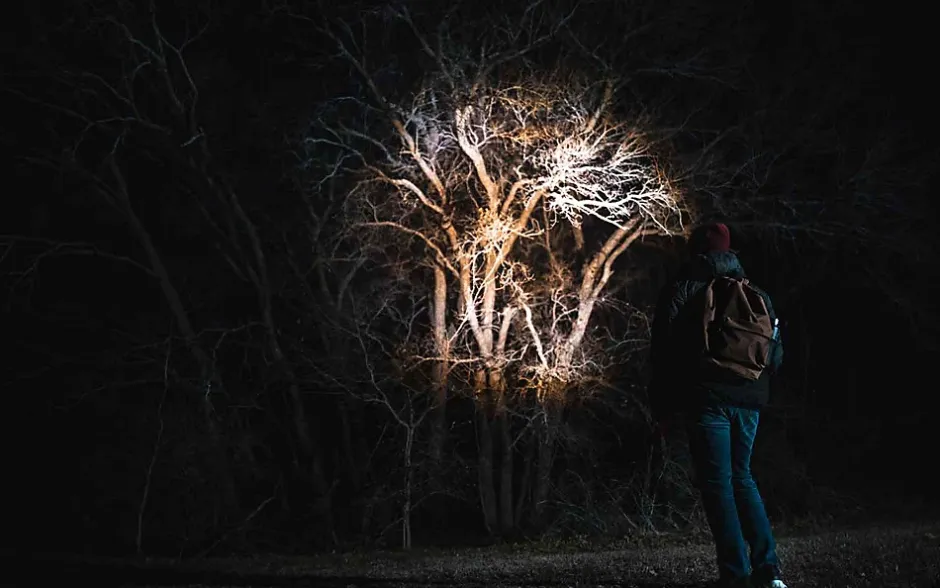 DAVINCI 2000 - Lampe Torche LED Rechargeable 2000 lm-Nebo Hot