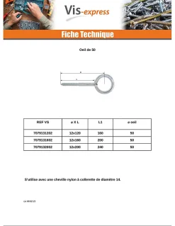Oeillet Echafaudage 12X190 Oeil 23 Acier zingué - 1 pièce^Vis Express Outlet