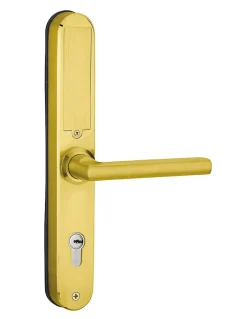 Paire de poignées connectées Intelock Multi, pour porte d'entrée, entr'axes 70mm, dorée - INTELOCK-Thirard New