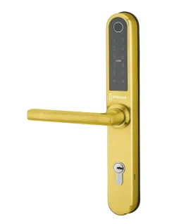 Paire de poignées connectées Intelock Multi, pour porte d'entrée, entr'axes 70mm, dorée - INTELOCK-Thirard New