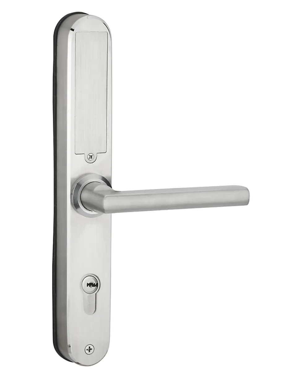 Paire de poignées connectées Intelock Multi, pour porte d'entrée, entr'axes 72mm, argent - INTELOCK^Thirard Discount