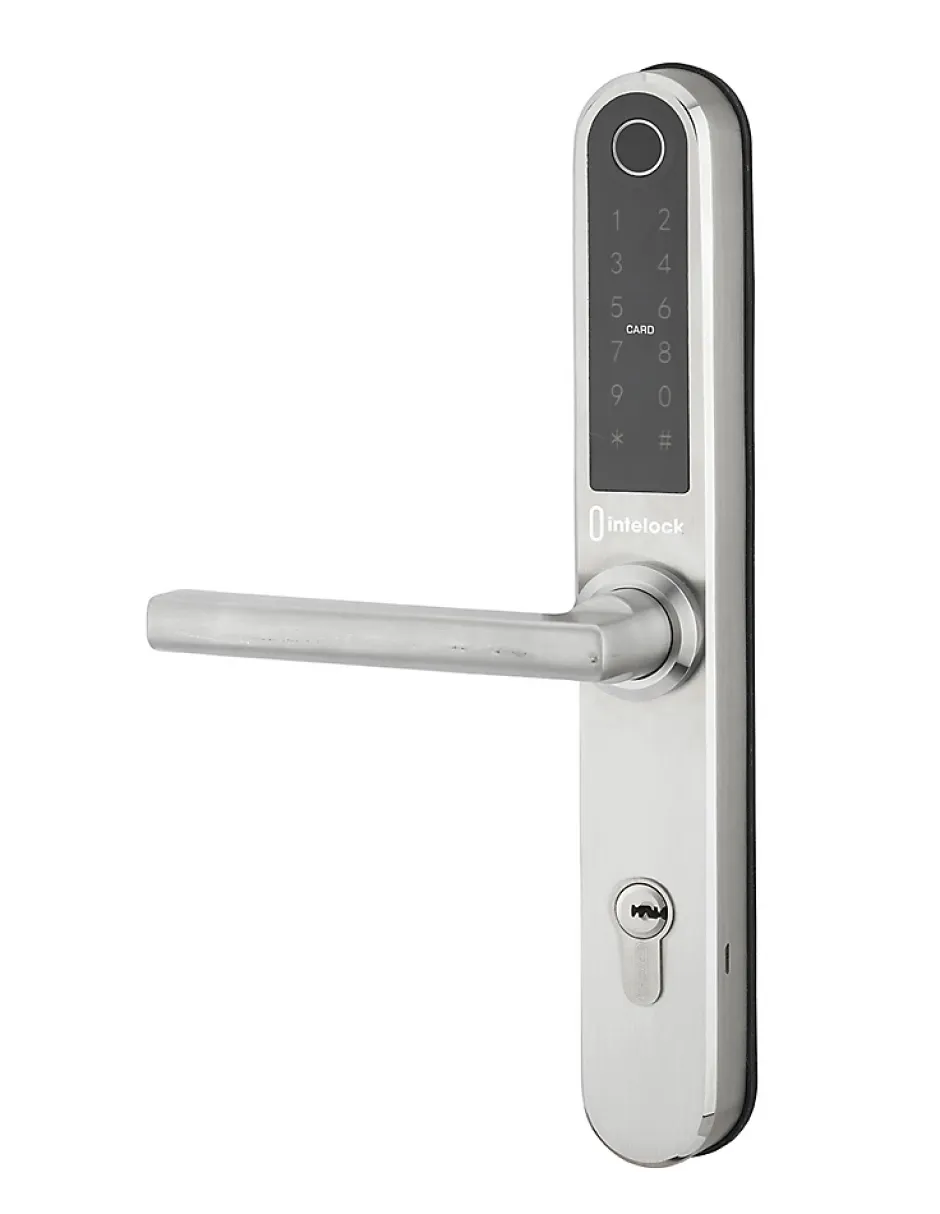 Paire de poignées connectées Intelock Multi, pour porte d'entrée, entr'axes 70mm, argent - INTELOCK^Thirard Hot