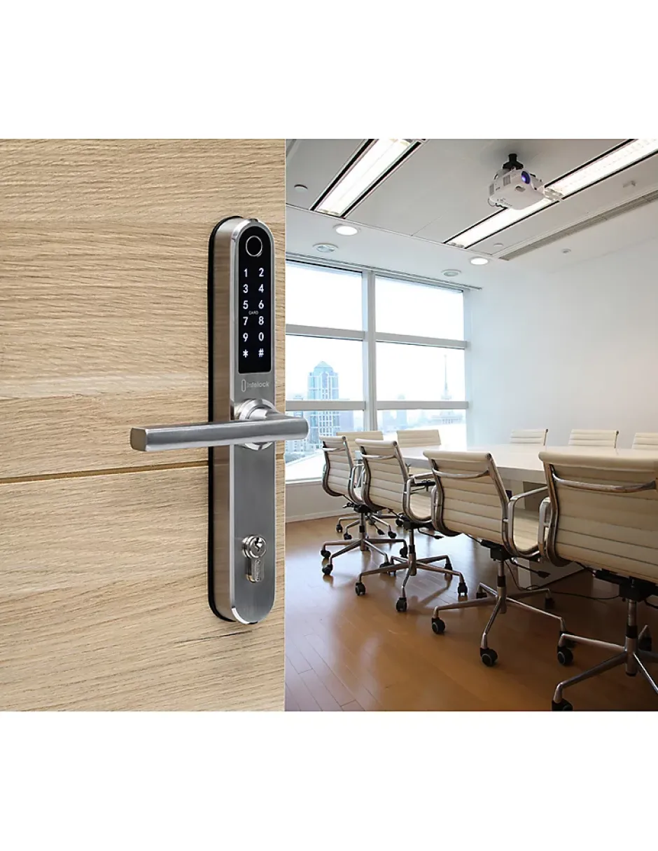 Paire de poignées connectées Intelock Multi, pour porte d'entrée, entr'axes 70mm, argent - INTELOCK^Thirard Hot