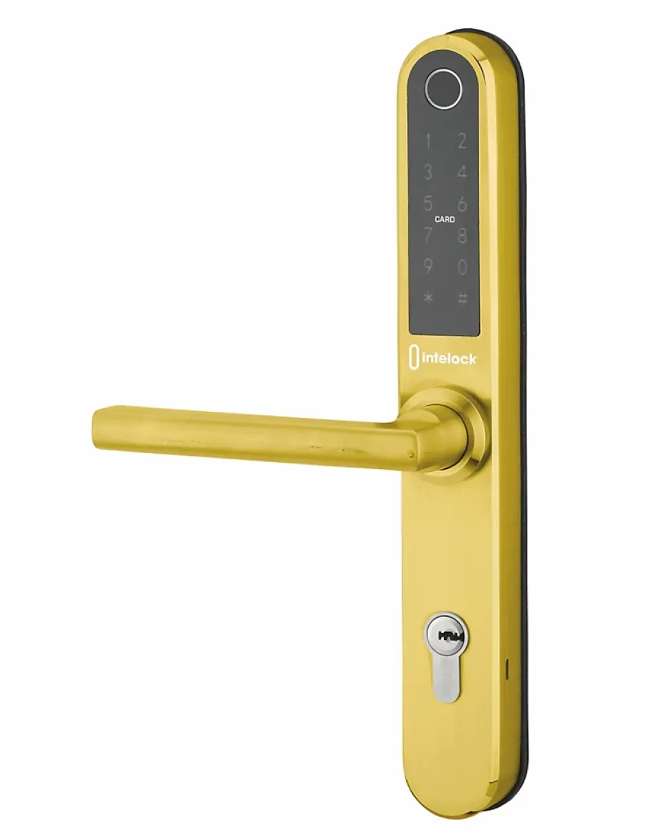 Paire de poignées connectées Intelock Multi, pour porte d'entrée, entr'axes 85mm, doré - INTELOCK^Thirard