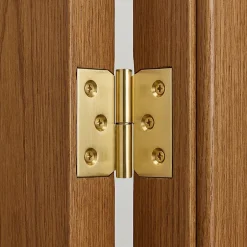 Paumelle laitonnée 30 x 40 mm gauche vendue par 2-QCL Discount