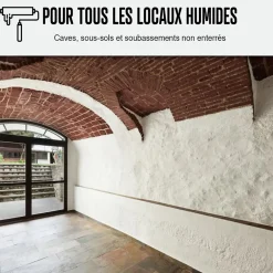 Peinture anti humidité mur humide salle de bain - ARCASCREEN - 10 L (jusqu'à 40 m²) -^Arcane Industries Clearance