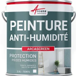 Peinture anti humidité mur humide salle de bain - ARCASCREEN - 2.5 L (jusqu'à 10 m²) --Arcane Industries Outlet
