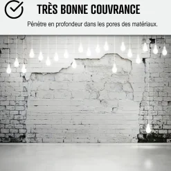 Peinture anti humidité mur humide salle de bain - ARCASCREEN - 0.75 L (jusqu'à 3 m²) --Arcane Industries Discount