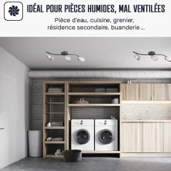 Peinture anti-condensation, anti odeur pour pièces humides Jaune citron - RAL 1012 - 2.5 L -^Arcane Industries New